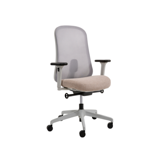 Sphere Ergonomic Office Chair